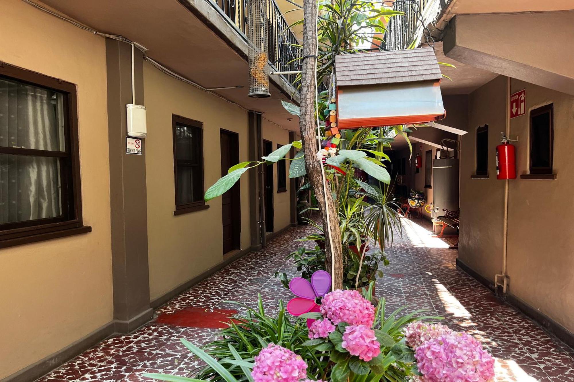 Oyo Hotel Linda Tijuana Exterior photo